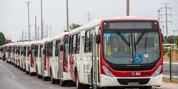 entrega-onibus