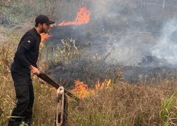 forca-tarefa-autazes