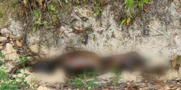 morte-cidade-de-deus