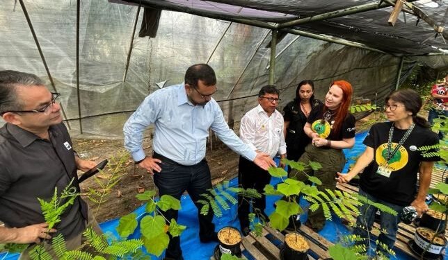 plantas-mineracao-sustentavel