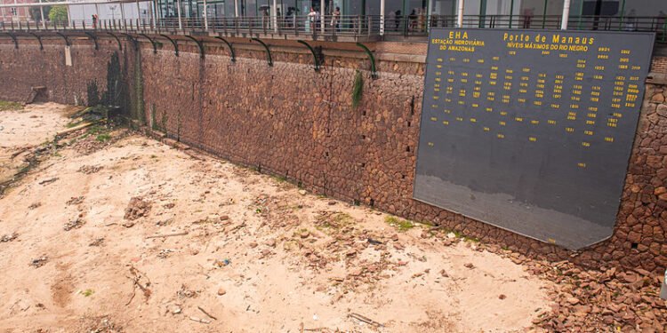 regua porto de manaus