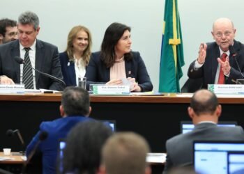 simone-tebet-economia