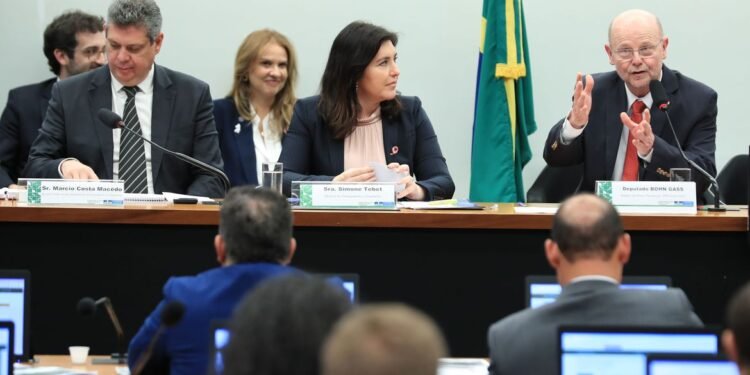 simone-tebet-economia