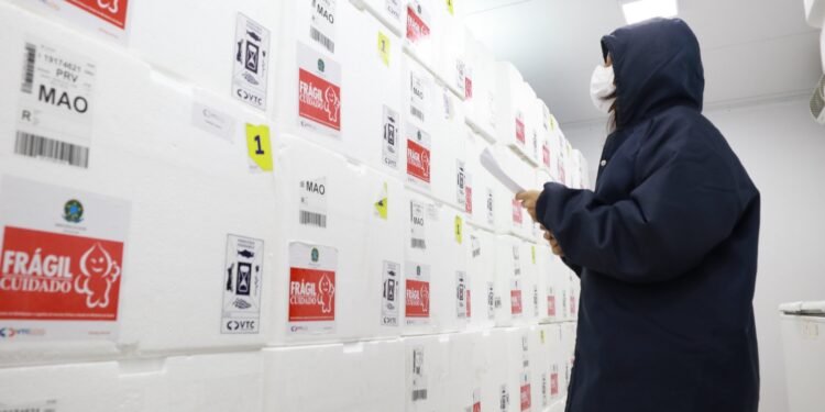 Vacinação contra influenza será em novembro no Amazonas