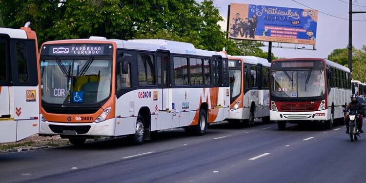 Manaus recebe 15 novos ônibus e totaliza 315 veículos modernos na frota da capital
