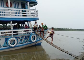 afetadas pela estiagem