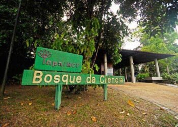 déficit de pessoal nível médio ameaça funcionamento do órgão