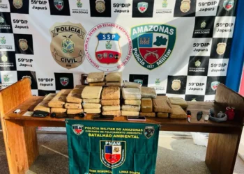 SSP_AM_MATERIAL_APREENDIDO