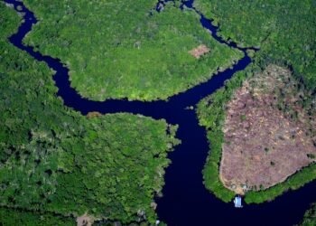 amazonia-real-desmatamento