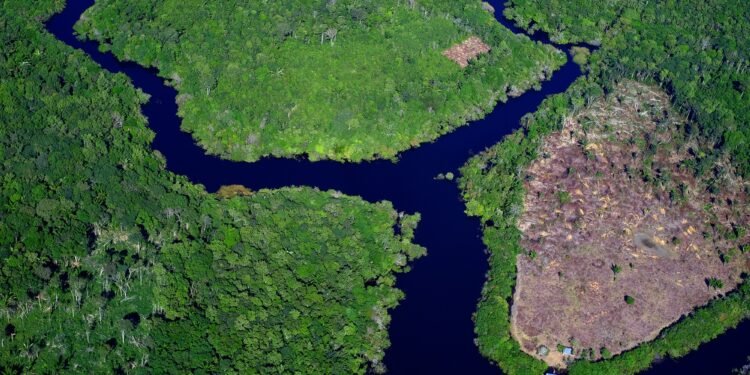 amazonia-real-desmatamento
