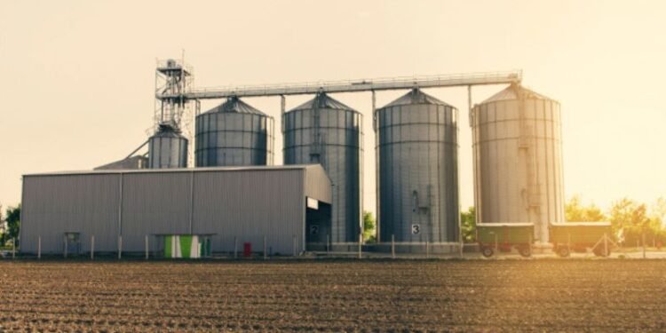 biodiesel