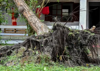 especialista-clima-acao-humana