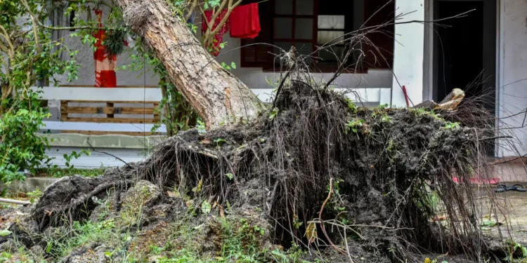 especialista-clima-acao-humana