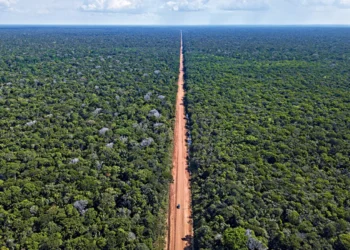 grupo visa analisar br 319