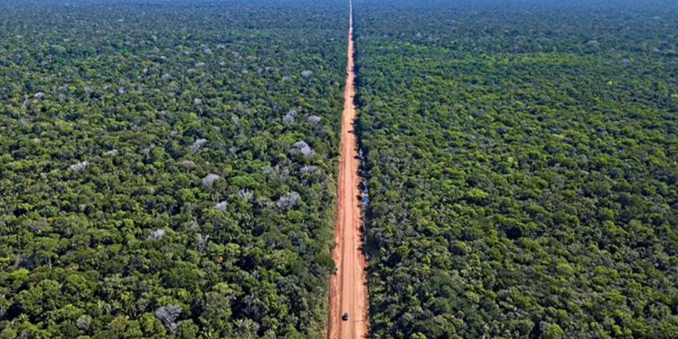 grupo visa analisar br 319