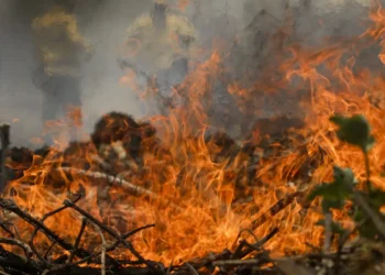 incêndio no Pantanal