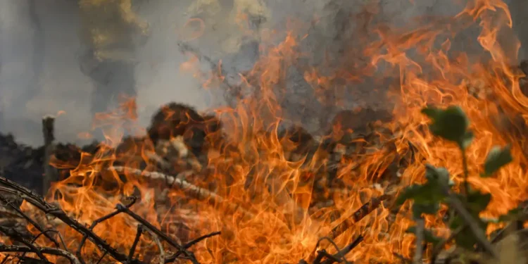 incêndio no Pantanal