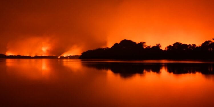 incendios_pantanal