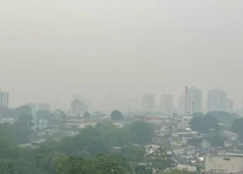 Manaus fumaça