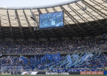 mineirao_cruzeiro_torcida