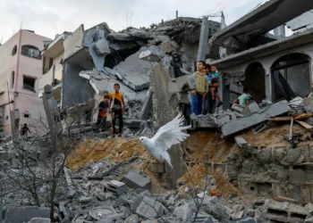 palestina-taxa-de-pobreza