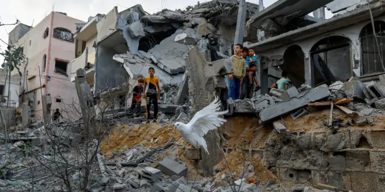 palestina-taxa-de-pobreza