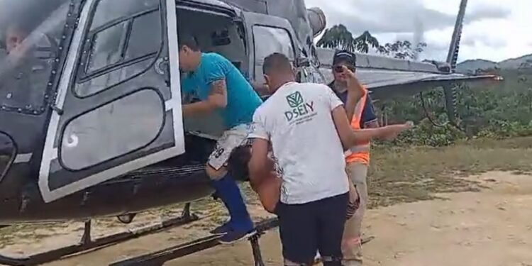 yanomami com malaria