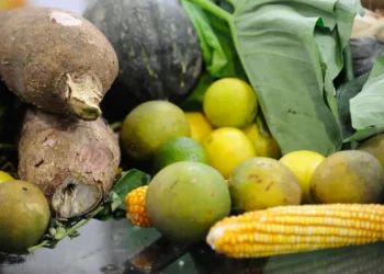 Agrotoxicos-residuos-alimentos