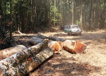 area-desmatada-pelo-fazendeiro