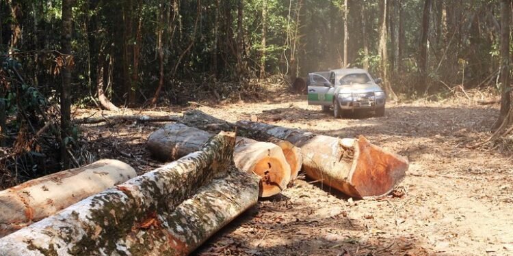 area-desmatada-pelo-fazendeiro