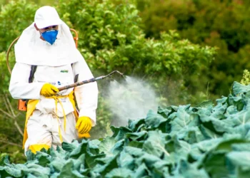 brasil-agrotoxicos