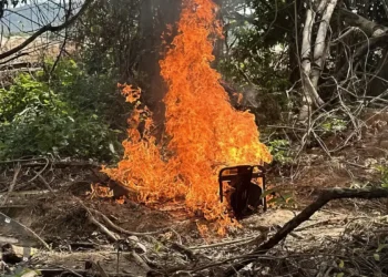 extracao-ilegal-terra-indigena