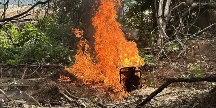 extracao-ilegal-terra-indigena