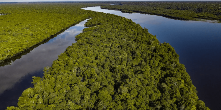 fundo-amazonia