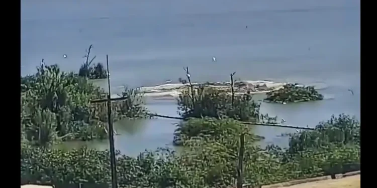 mina18sofreurompimento