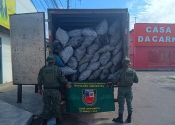CPAMB-Polícia Militar do Amazonas apreende carvão vegetal ilegal avaliado em 63 mil