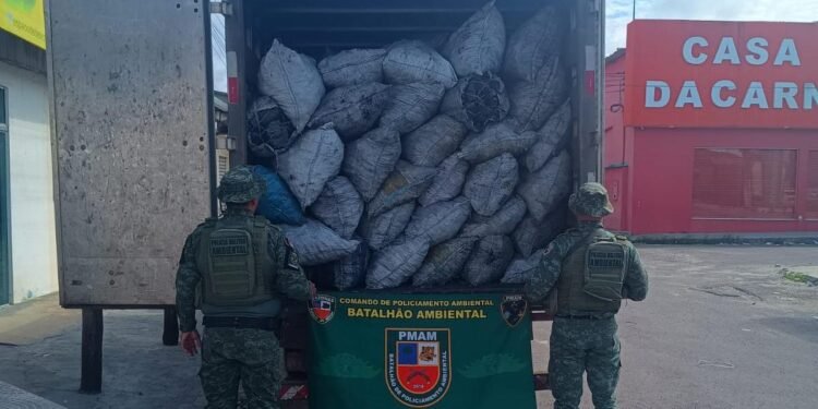 CPAMB-Polícia Militar do Amazonas apreende carvão vegetal ilegal avaliado em 63 mil