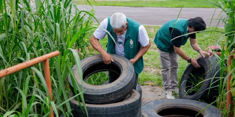Combate à dengue 1