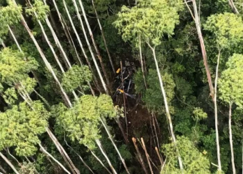 abrir caminho até destroços de helicóptero