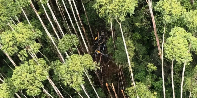 abrir caminho até destroços de helicóptero