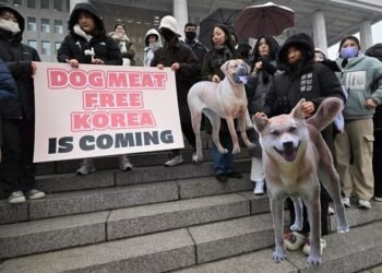 coreia-sul-protesto-jpg