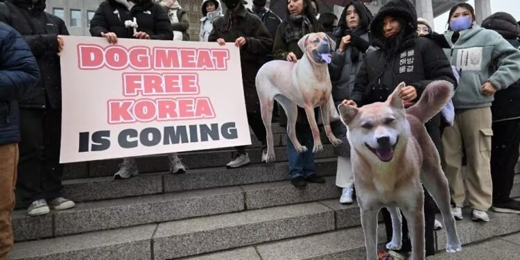 coreia-sul-protesto-jpg