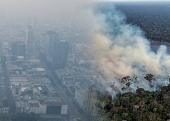 fumaca-manaus (3)