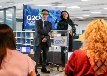 G20, Segurança Pública, objetivos do milênio, ONU