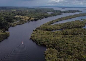Amazonastur vai identificar potencial turístico na RDS Igapó-Açú