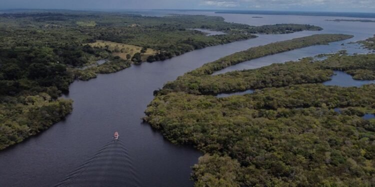 Amazonastur vai identificar potencial turístico na RDS Igapó-Açú