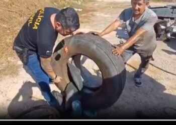 Casal é preso por enviar drogas à outros Estados por meio de transportadoras