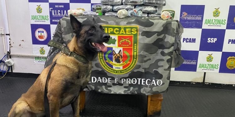 Mulher é presa com pasta-base de cocaína avaliada em R$ 750 mil