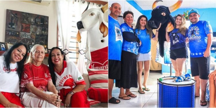 Torcedores explicam como é ser escolhido pelos bumbás Caprichoso e Garantido