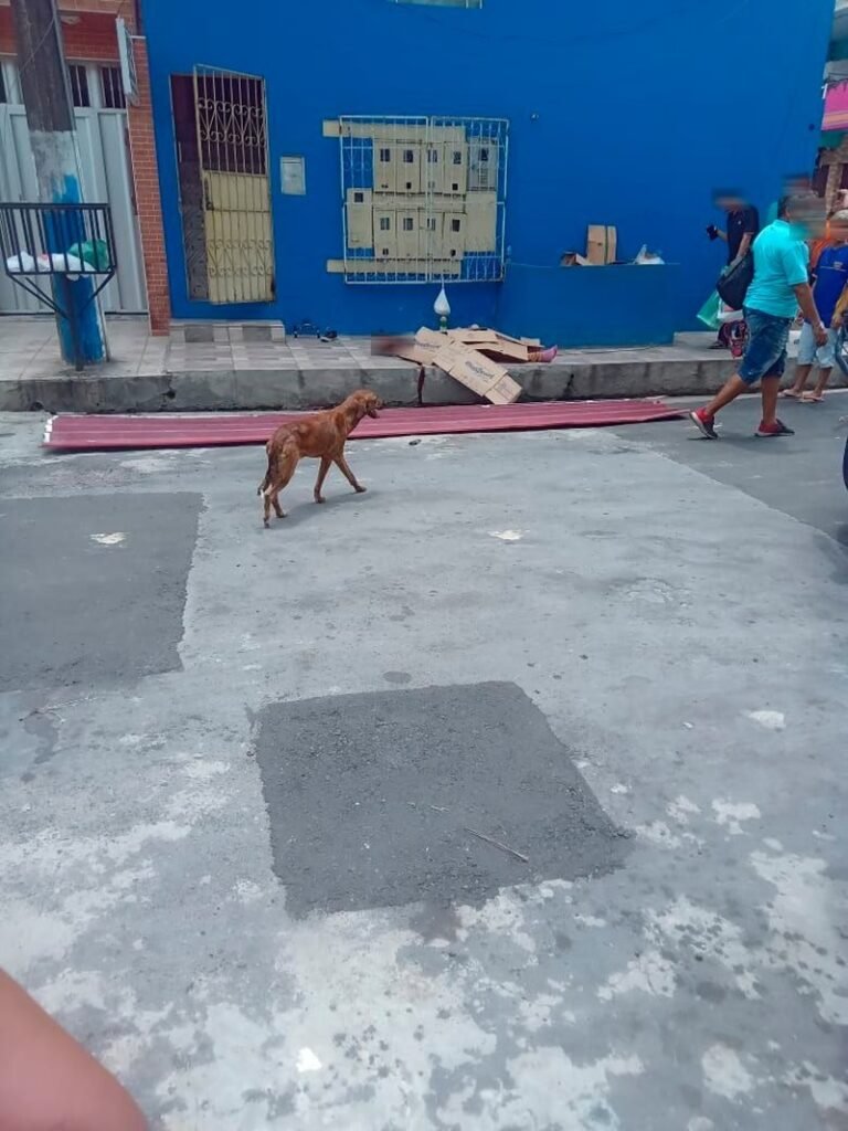 Trabalhador morre eletrocutado na zona Leste de Manaus1